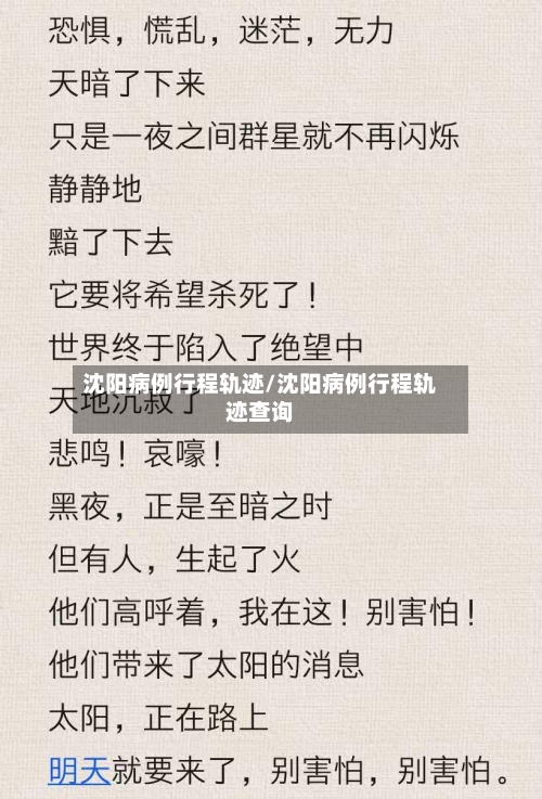 沈阳病例行程轨迹/沈阳病例行程轨迹查询