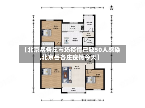 【北京岳各庄市场疫情已致50人感染,北京岳各庄疫情今天】