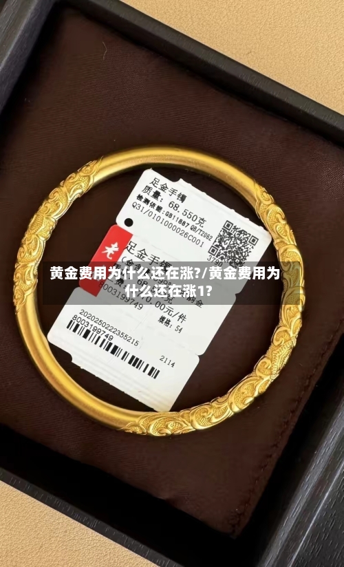 黄金费用为什么还在涨?/黄金费用为什么还在涨1?